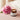 Κρέμες Προσώπου Nightly Renew Facial Cream 30ml - Travel Size Evolve Organic Beauty