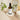 Τονωτική Λοσιόν Daily Defence Moisture Mist 100ml - Evolve Organic Beauty Evolve Organic Beauty